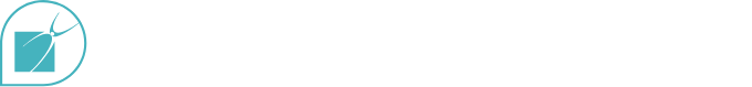 Sirius Technology Services